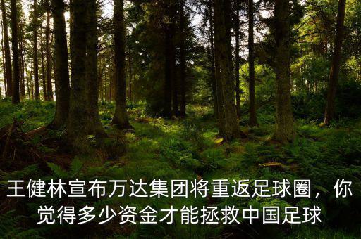 王健林宣布萬(wàn)達(dá)集團(tuán)將重返足球圈，你覺(jué)得多少資金才能拯救中國(guó)足球