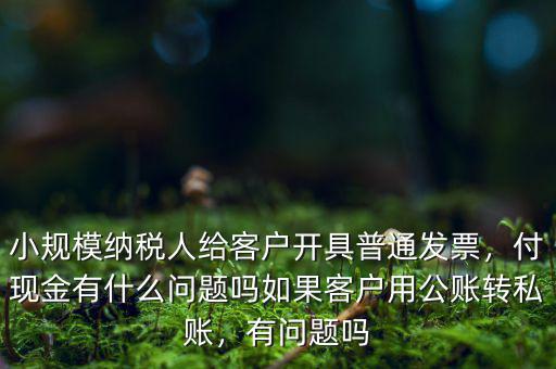 小規(guī)模納稅人給客戶開具普通發(fā)票，付現(xiàn)金有什么問題嗎如果客戶用公賬轉(zhuǎn)私賬，有問題嗎