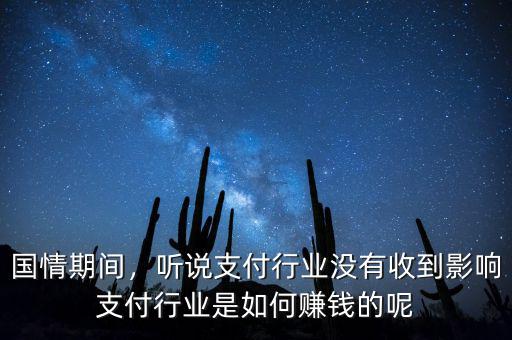 國情期間，聽說支付行業(yè)沒有收到影響支付行業(yè)是如何賺錢的呢