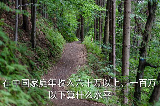 在中國家庭年收入六十萬以上，一百萬以下算什么水平