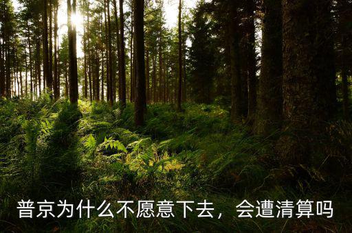 普京為什么不愿意下去，會遭清算嗎