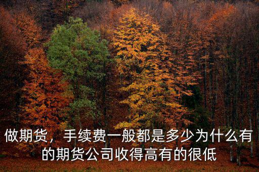 做期貨，手續(xù)費一般都是多少為什么有的期貨公司收得高有的很低