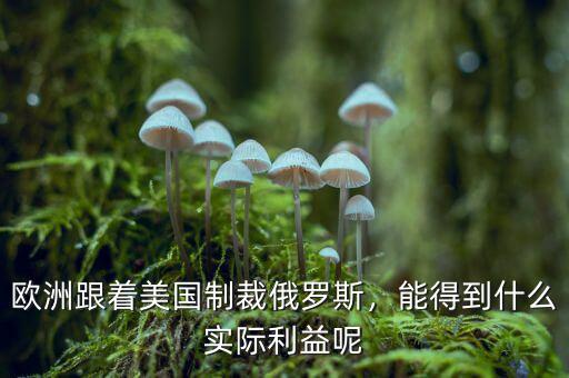 歐洲跟著美國制裁俄羅斯，能得到什么實(shí)際利益呢