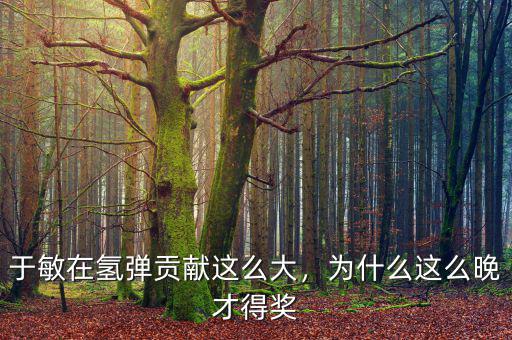 于敏在氫彈貢獻這么大，為什么這么晚才得獎