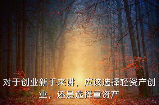 對于創(chuàng)業(yè)新手來講，應(yīng)該選擇輕資產(chǎn)創(chuàng)業(yè)，還是選擇重資產(chǎn)