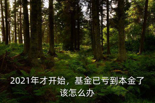 2021年才開始，基金已虧到本金了該怎么辦