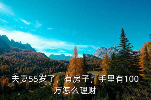 夫妻55歲了，有房子，手里有100萬怎么理財(cái)