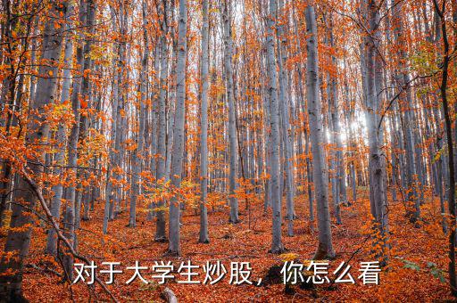 對(duì)于大學(xué)生炒股，你怎么看