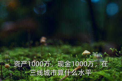 資產(chǎn)1000萬，現(xiàn)金1000萬，在三線城市算什么水平