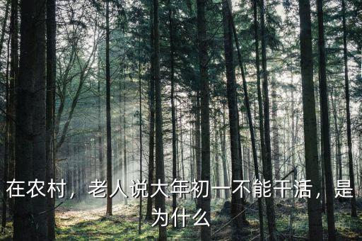 在農(nóng)村，老人說大年初一不能干活，是為什么