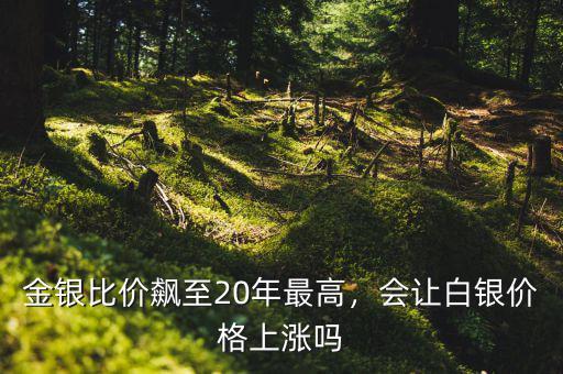 金銀比價飆至20年最高，會讓白銀價格上漲嗎
