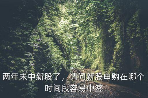兩年未中新股了，請(qǐng)問新股申購在哪個(gè)時(shí)間段容易中簽