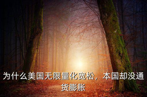 為什么美國無限量化寬松，本國卻沒通貨膨脹