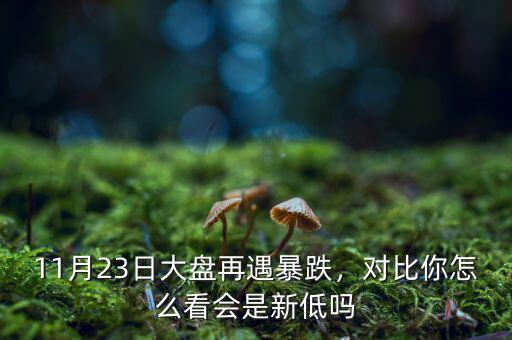 11月23日大盤(pán)再遇暴跌，對(duì)比你怎么看會(huì)是新低嗎