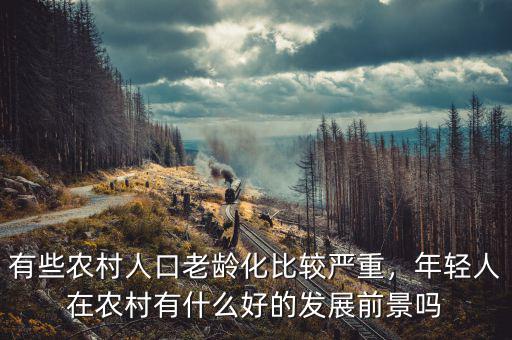 有些農(nóng)村人口老齡化比較嚴(yán)重，年輕人在農(nóng)村有什么好的發(fā)展前景嗎