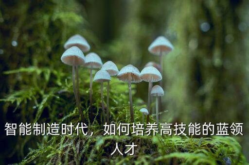 智能制造時(shí)代，如何培養(yǎng)高技能的藍(lán)領(lǐng)人才