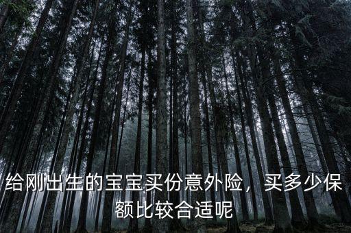 給剛出生的寶寶買份意外險(xiǎn)，買多少保額比較合適呢