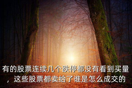 有的股票連續(xù)幾個(gè)跌停都沒(méi)有看到買(mǎi)量，這些股票都賣(mài)給了誰(shuí)是怎么成交的