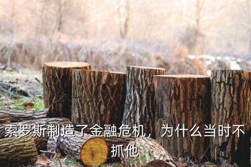 索羅斯制造了金融危機，為什么當(dāng)時不抓他