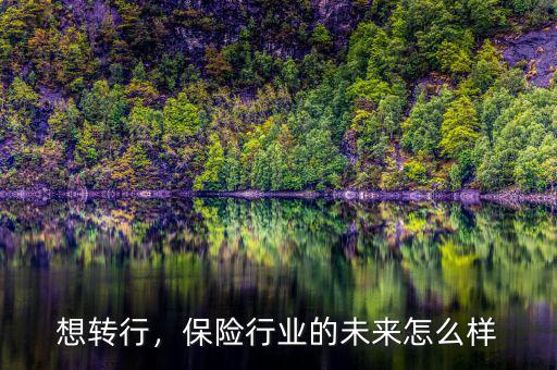 想轉(zhuǎn)行，保險(xiǎn)行業(yè)的未來(lái)怎么樣