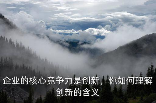 企業(yè)的核心競爭力是創(chuàng)新，你如何理解創(chuàng)新的含義
