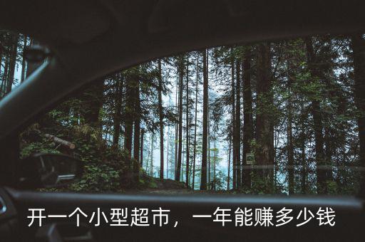 開一個(gè)小型超市，一年能賺多少錢