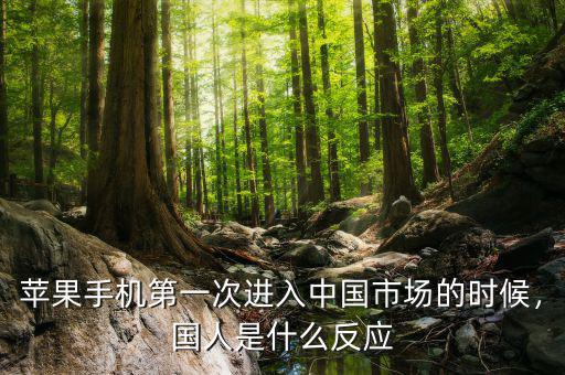蘋果手機(jī)第一次進(jìn)入中國(guó)市場(chǎng)的時(shí)候，國(guó)人是什么反應(yīng)