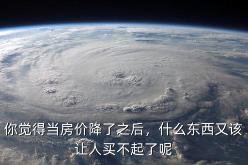 你覺得當(dāng)房?jī)r(jià)降了之后，什么東西又該讓人買不起了呢