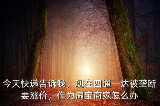 今天快遞告訴我，現(xiàn)在四通一達(dá)被壟斷要漲價(jià)，作為淘寶商家怎么辦