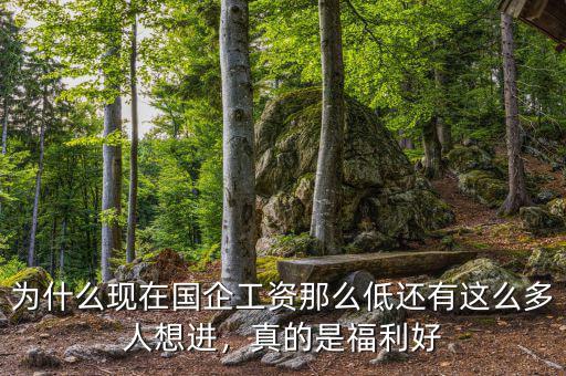 為什么現(xiàn)在國企工資那么低還有這么多人想進，真的是福利好
