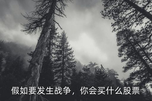 假如要發(fā)生戰(zhàn)爭，你會買什么股票