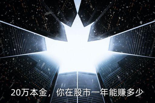 20萬本金，你在股市一年能賺多少