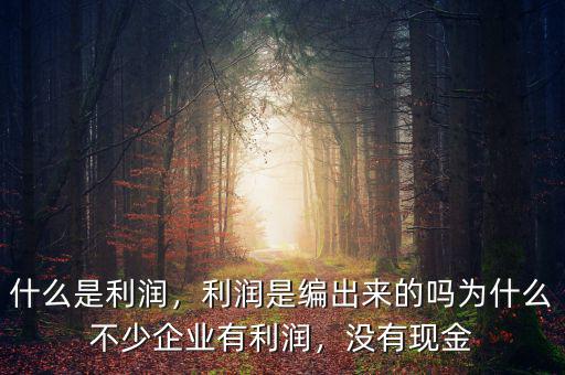 什么是利潤，利潤是編出來的嗎為什么不少企業(yè)有利潤，沒有現(xiàn)金