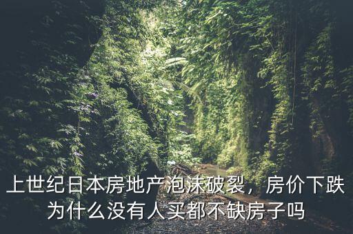 上世紀(jì)日本房地產(chǎn)泡沫破裂，房?jī)r(jià)下跌為什么沒有人買都不缺房子嗎
