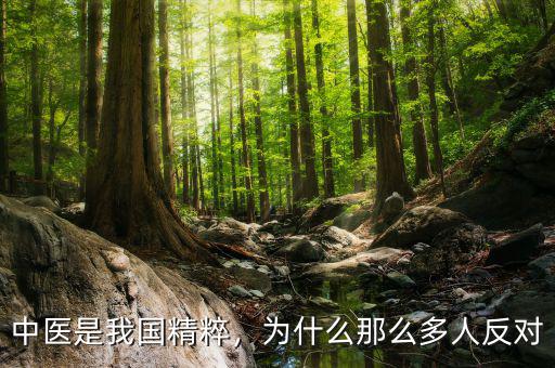 中醫(yī)是我國精粹，為什么那么多人反對(duì)