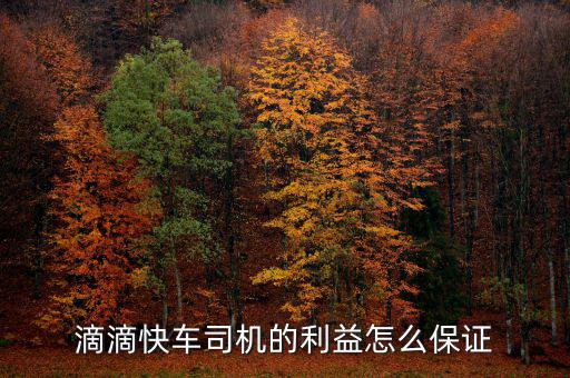 滴滴快車(chē)司機(jī)的利益怎么保證