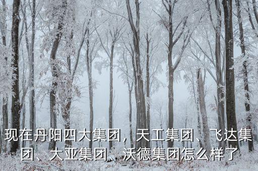 現(xiàn)在丹陽四大集團(tuán)，天工集團(tuán)、飛達(dá)集團(tuán)、大亞集團(tuán)、沃德集團(tuán)怎么樣了