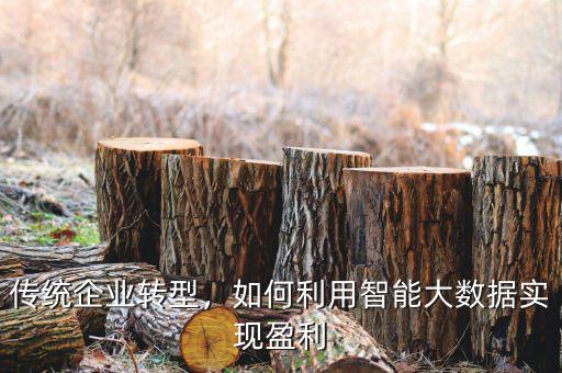傳統(tǒng)企業(yè)轉(zhuǎn)型，如何利用智能大數(shù)據(jù)實現(xiàn)盈利