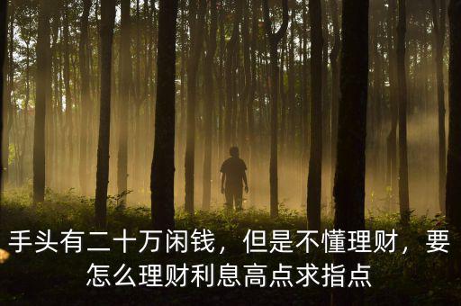 手頭有二十萬閑錢，但是不懂理財，要怎么理財利息高點求指點