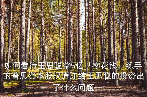 如何看待王思聰拿5億「零花錢」練手的普思資本股權遭凍結王思聰的投資出了什么問題
