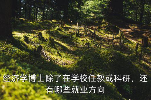 經(jīng)濟(jì)學(xué)博士除了在學(xué)校任教或科研，還有哪些就業(yè)方向