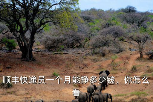 順豐快遞員一個(gè)月能掙多少錢，你怎么看