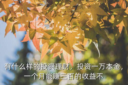 有什么樣的投資理財(cái)，投資一萬(wàn)本金，一個(gè)月能賺三百的收益不