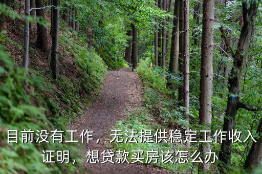 目前沒(méi)有工作，無(wú)法提供穩(wěn)定工作收入證明，想貸款買(mǎi)房該怎么辦