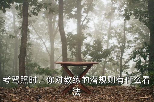 考駕照時(shí)，你對教練的潛規(guī)則有什么看法