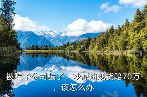 被騙子公司騙了，炒原油現(xiàn)貨賠70萬(wàn)，該怎么辦