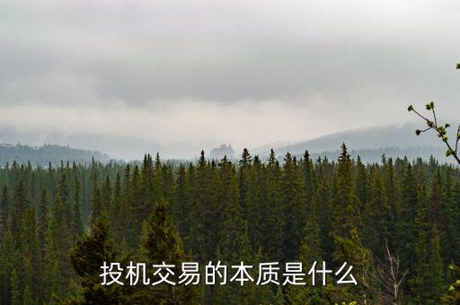 什么叫貨幣投機,購買加密貨幣是投資還是投機