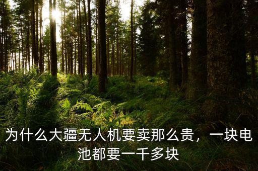 為什么大疆無人機(jī)要賣那么貴，一塊電池都要一千多塊