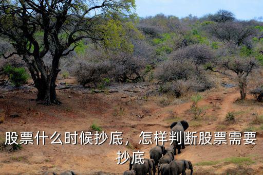股票什么時(shí)候抄底，怎樣判斷股票需要抄底