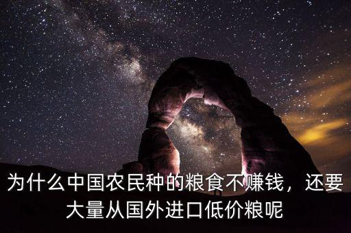 為什么中國農(nóng)民種的糧食不賺錢，還要大量從國外進口低價糧呢